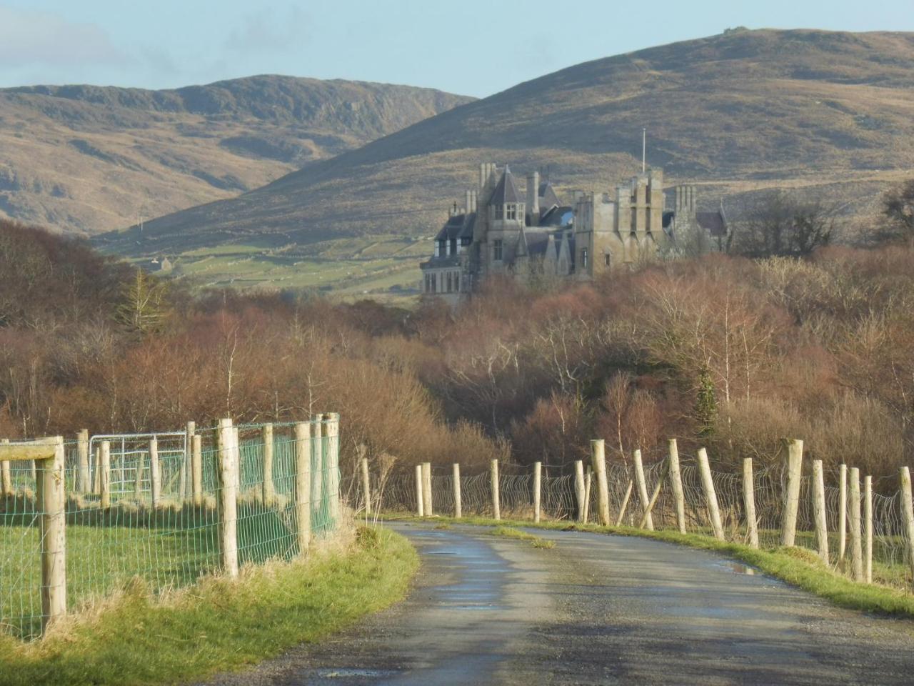 Island View House Bed & Breakfast Castletownbere Exterior photo
